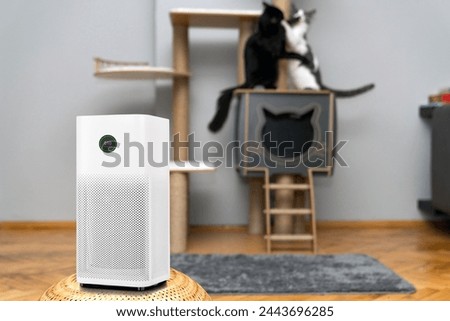 air purifier in the area with pets or cat. Air Pollution Concept. Air purifier, filters out invisible viruses, allergens or pollutants in the house on a cat tree background. Cute cat and Air purifier Royalty-Free Stock Photo #2443696285