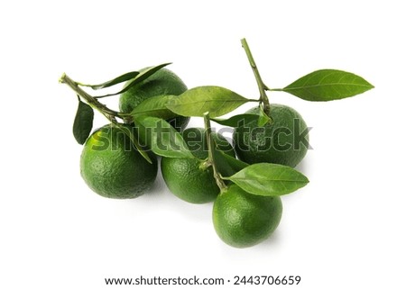 Japanese citrus fruit, green mandarin orange Royalty-Free Stock Photo #2443706659