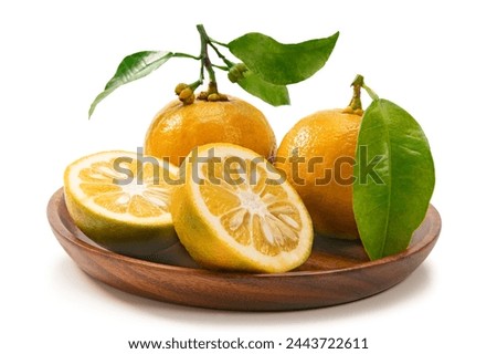 Japanese citrus orange daidai on white background Royalty-Free Stock Photo #2443722611