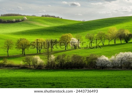 Easter wallpaper of spring landscape at sunset. 