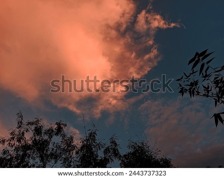 Capturing beautiful colourful sky.
Photo for sky lovers, Wildlife nature photos,