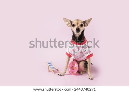 Summer pet journey, dog with suitcase and sunbed, pink background, tourist dog