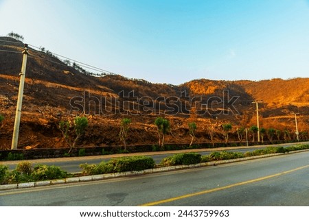 ICMELER, MARMARIS, MUGLA, TURKEY: The consequences of a fire in 2021 in the vicinity of Mugla in Icmeler Royalty-Free Stock Photo #2443759963