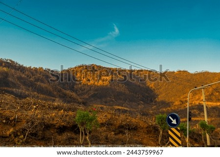 ICMELER, MARMARIS, MUGLA, TURKEY: The consequences of a fire in 2021 in the vicinity of Mugla in Icmeler Royalty-Free Stock Photo #2443759967