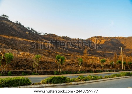 ICMELER, MARMARIS, MUGLA, TURKEY: The consequences of a fire in 2021 in the vicinity of Mugla in Icmeler Royalty-Free Stock Photo #2443759977