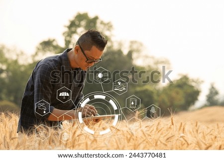 Business gardener using tablet Viewing potato plant picture of potato leaves in harvest season in fertile soil..