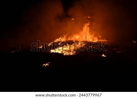 A forest get burned in the dry season