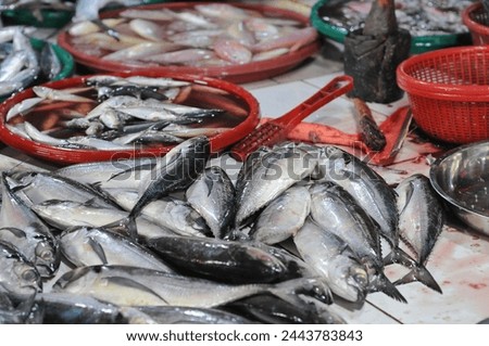 various fresh fish in traditional markets