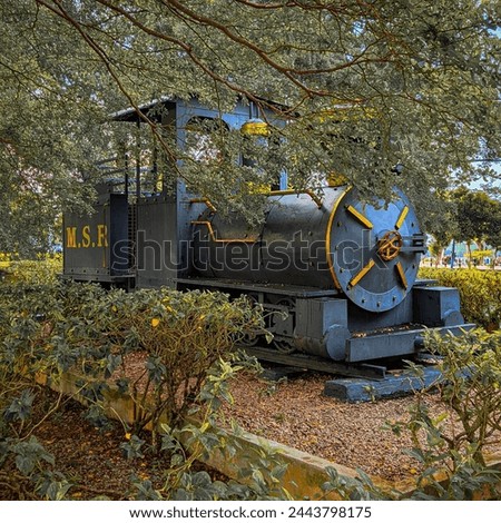 A picture of train in the forest.