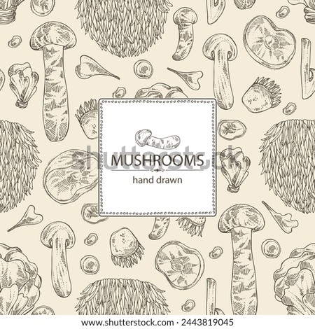 Background with mushroom:  thelephora ganbajun, tricholoma matsutake, hericium erinaceus and auricularia polytricha. Vector hand drawn illustration Royalty-Free Stock Photo #2443819045