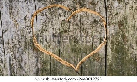 The heart of love is carved on a tree