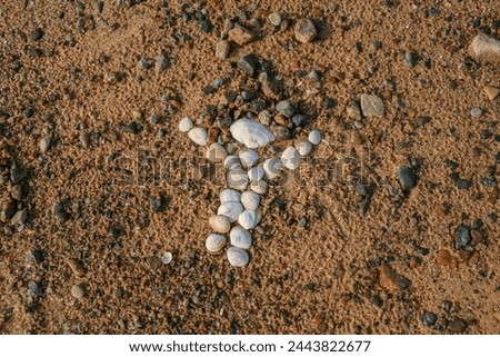 A little man figure made of sand and shells on the sea beach. Latvia, Baltic, Golf of Riga. Copy Space. Naive Art. Children craft, art piece. Hobby artist. Symbolism Royalty-Free Stock Photo #2443822677