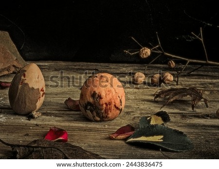 still life photography with avocado seeds, rose, fruits