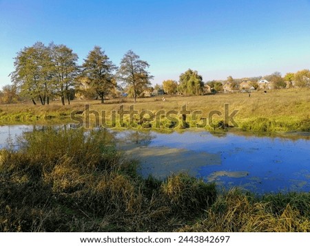 View of the river and rural Ukrainian houses in the distance, warm autumn day Royalty-Free Stock Photo #2443842697