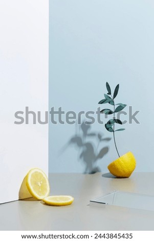 Product branding backdrops, Commercial product photography backdrop, Studio backgrounds for product photography