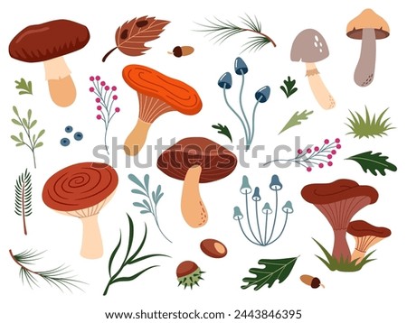 Set of cute forest illustrations mushrooms, berries, chestnuts, pine needles, leaves. Bright botanical poster with plants on white background. Collection of scrapbooking elements.