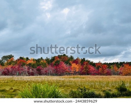 Landscape autumn scene in New England, USA 