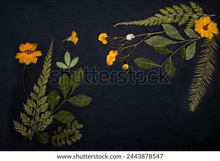 slate with space text with flower and plant