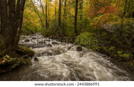 Cascade running through the Jones Gap State Park in autumn Royalty-Free Stock Photo #2443886991