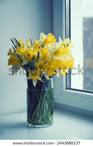 a bouquet of yellow daffodils near the window