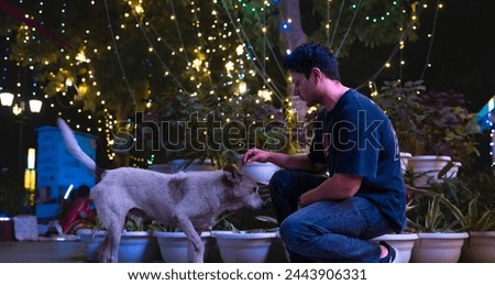 Heartwarming moment of a young man bowing down to pet a dog amidst the festive glow of lights. This scene radiates warmth and compassion, symbolizing the joy of connection and celebration.