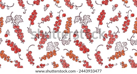 Red currant berries ripe twigs bunches, outline, hand drawn, seamless pattern vector, white background, wallpaper,paper,textile,fabric Royalty-Free Stock Photo #2443933477