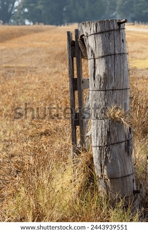 old farm fence post in field of dry grass