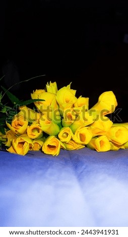 Flowers images..
Very beautiful looking.
Just looking like  a wow..
Wallpaper images
Background images