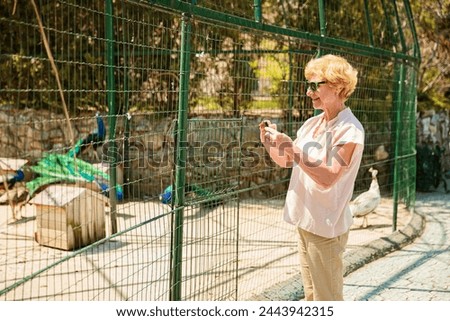 Elderly woman with mobile smartphone taking photo in zoological garden. Senior tourist woman on an excursion to the zoo.