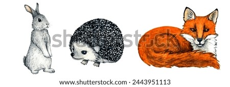 Watercolor wild forest animal. Illustration fox, hedgehog, hare, rabbit for kids design.