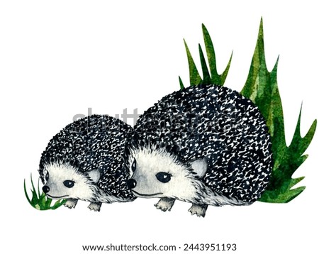 Watercolor wild forest animals: hedgehog on forest lawn scene. Hand-painted illustration for kids design. Clip art for nursery design