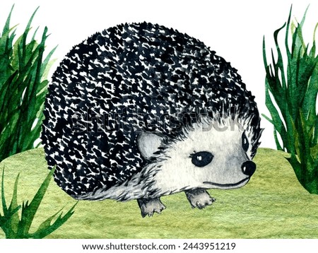 Watercolor wild forest animals: hedgehog on forest lawn scene. Hand-painted illustration for kids design. Clip art for nursery design
