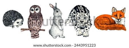 Watercolor wild forest animal footprints. Illustration fox, hedgehog, hare, rabbit for kids design.