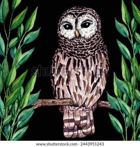 Watercolor wild forest animals: owl isolated on black background. Woodland hand-painted nature illustration for kids design, postcards, poster and print. Clip art for nursery design
