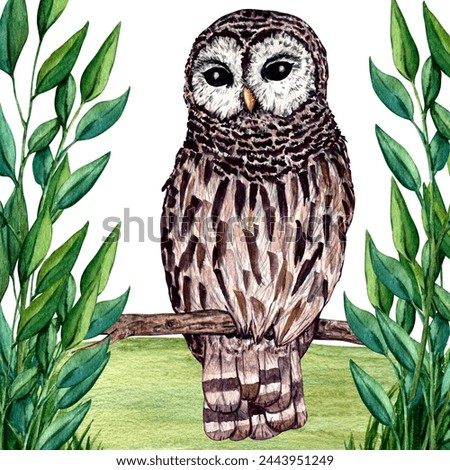Watercolor wild forest animals: owl isolated on white background. Woodland hand-painted nature illustration for kids design, postcards, poster and print. Clip art for nursery design