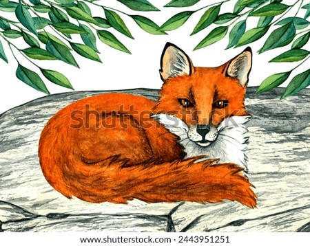 Watercolor wild forest animals: fox on stone. Woodland hand-painted nature illustration for kids design, postcards, poster and print. Clip art for nursery design.