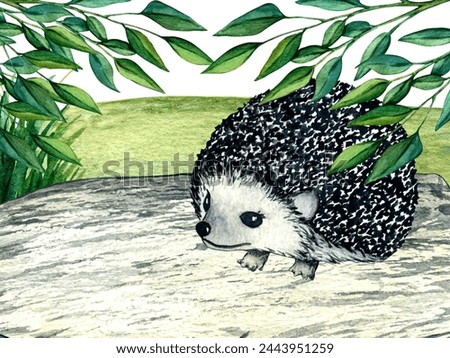 Watercolor wild forest animals: hedgehog on stone. Woodland hand-painted nature illustration for kids design, postcards, poster and print. Clip art for nursery design