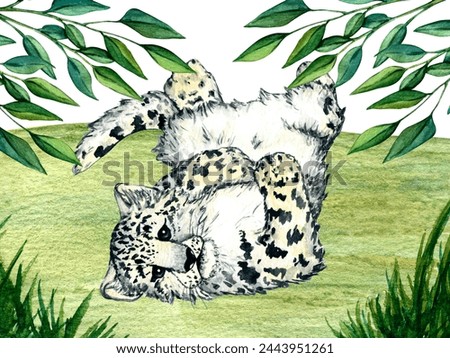 Watercolor wild forest animals: snow leopard kitten, irbis on forest lawn scene. Woodland hand-painted nature illustration for kids design, postcards, poster and print. Clip art for nursery design