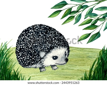 Watercolor wild forest animals: hedgehog on forest lawn scene. Woodland hand-painted nature illustration for kids design, postcards, poster and print. Clip art for nursery design