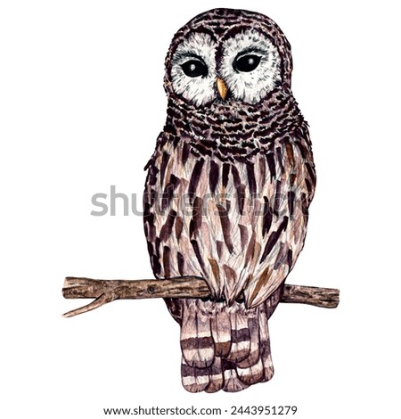 Watercolor wild forest animals: owl isolated on white background. Woodland hand-painted nature illustration for kids design, postcards, poster and print. Clip art for nursery design