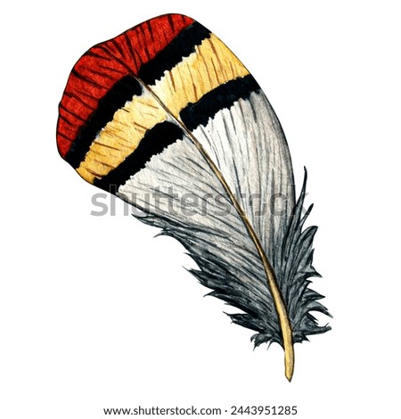 Hand drawn watercolor feather isolated on white background. Woodland hand-painted nature illustration for kids design, postcards, poster and print. Clip art for nursery design.