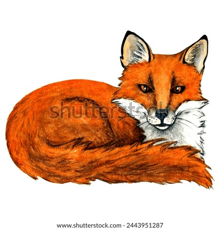 Watercolor wild forest animals: fox isolated on white background. Woodland hand-painted nature illustration for kids design, postcards, poster and print. Clip art for nursery design.
