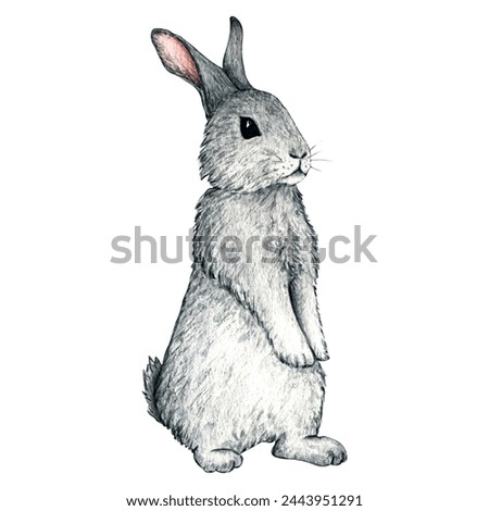 Watercolor wild forest animals: hare, rabbit isolated on white background. Woodland hand-painted nature illustration for kids design, postcards, poster and print. Clip art for nursery design