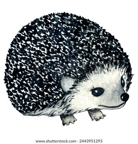 Watercolor wild forest animals: hedgehog isolated on white background. Woodland hand-painted nature illustration for kids design, postcards, poster and print. Clip art for nursery design.