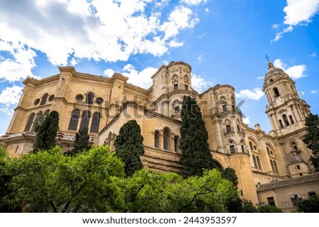 Malaga, Spain, view of the Renaissance architectures of the Malaga Cathedral (or Santa Iglesia Catedral Basílica de la Encarnación) Royalty-Free Stock Photo #2443953597