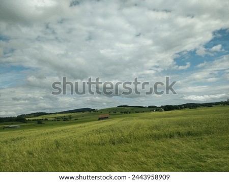 Countryside windows type wallpaper background landscape forrest views
