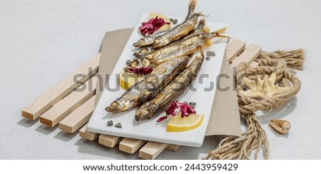 Smoked smelt with fresh lemon and herbs. Salted fish with marine decor. Trendy pallet, sea rope. Hard light, dark shadow, light stone concrete background, banner format Royalty-Free Stock Photo #2443959429