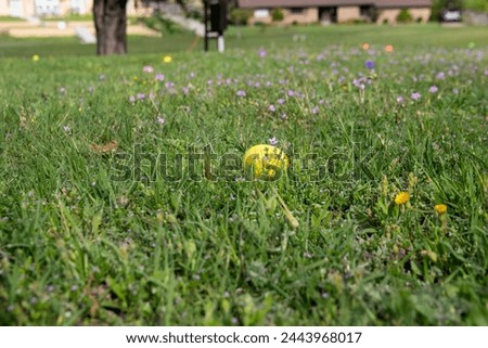 A yellow, plastic Easter egg hidden in the grass and purple flowers of a neighborhood park for holiday celebration.