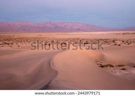 Death Valley National Park Landscape Image, California, Arid Desert, Sand Dunes, Cacti, Barren Land, Sunrise in the Desert