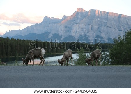 Banff National Park Holidays, Canadian Rockies Landscape, Mountain Adventure, Lake Louise Alberta Canada, Sunset and Sunrise Landscape Photography, Tourism Canada, Canoeing on Glacier Lakes
